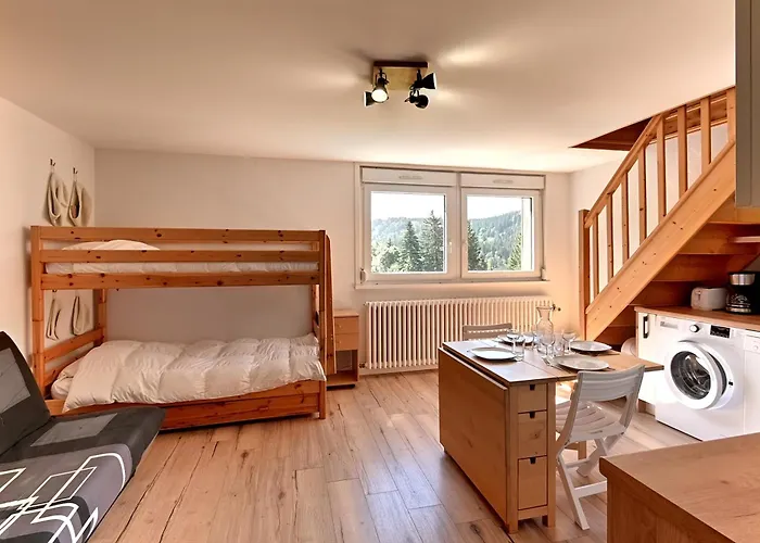Le Nid Des Vosges - Appt Vue Montagne