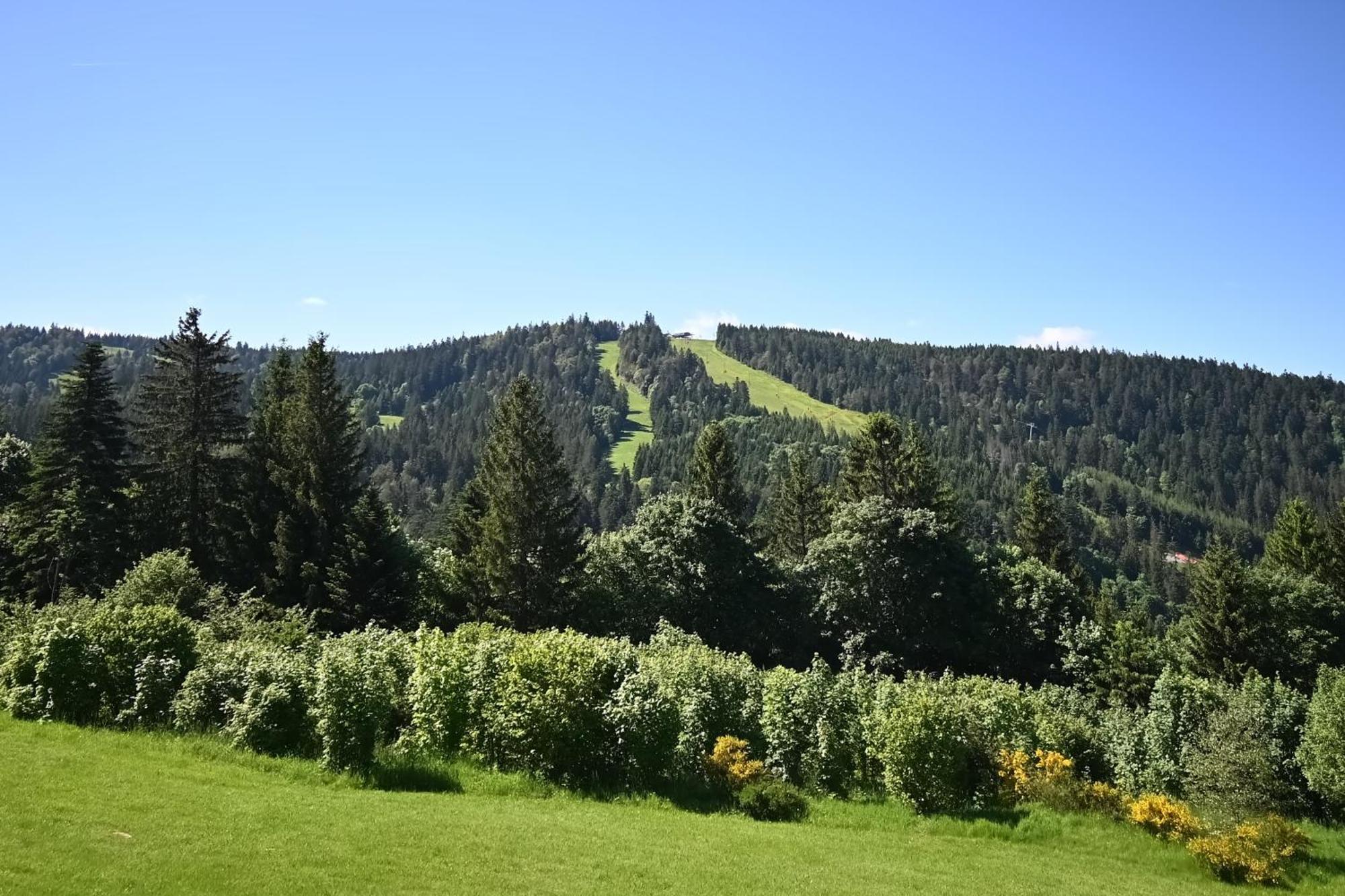 Apartment Le Nid Des Vosges - Appt Vue Montagne Gerardmer